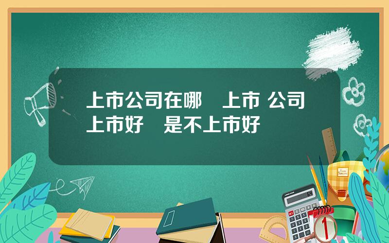 上市公司在哪裡上市 公司上市好還是不上市好